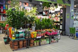 Картинка мебели Евроопт