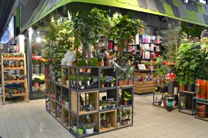 Картинка мебели Евроопт 11