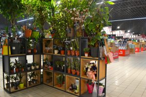 Картинка мебели Евроопт 4